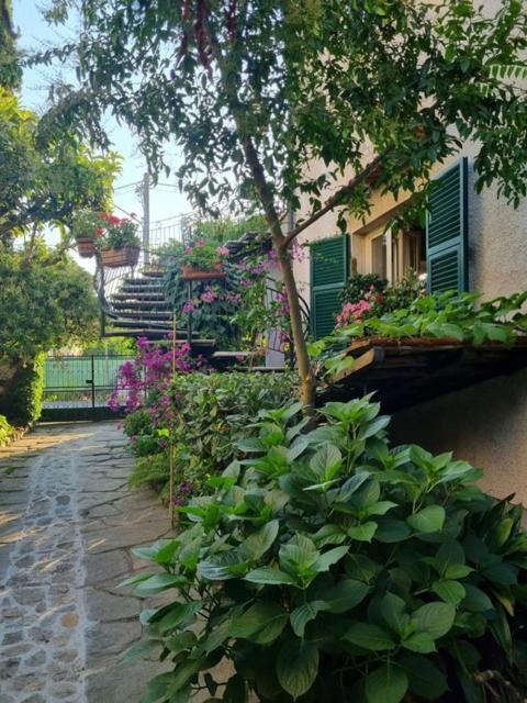 Casa Cambini Bed and Breakfast Marina di Massa Exteriör bild